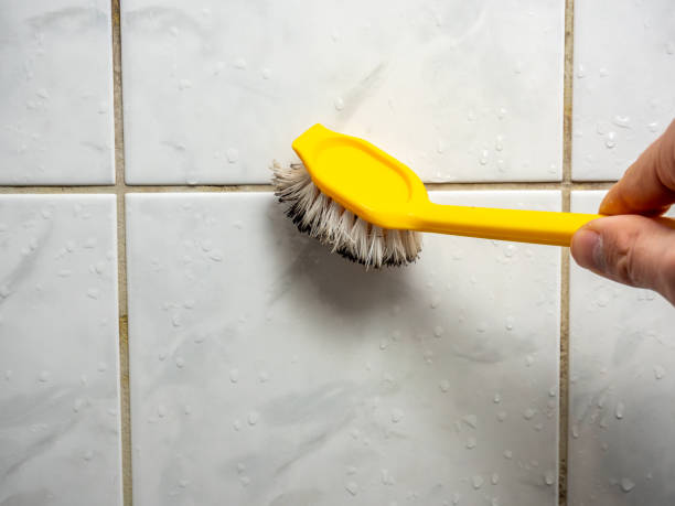Best Mold Removal Company Near Me  in Los Alamos, CA
