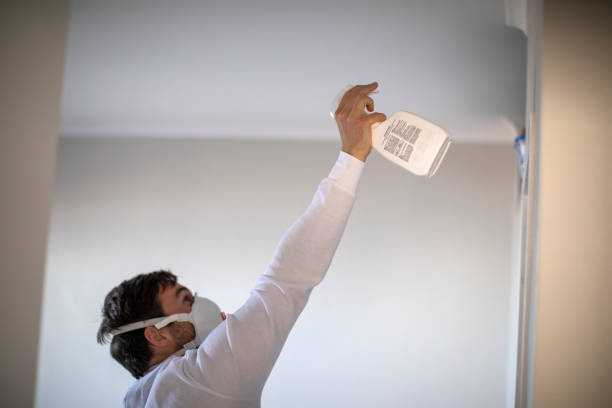 Best Black Mold Removal  in Los Alamos, CA
