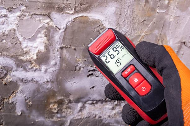 Best Toxic Mold Removal  in Los Alamos, CA