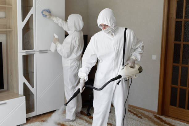 Best Black Mold Removal  in Los Alamos, CA