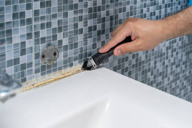 Best Mold Cleaning Services  in Los Alamos, CA