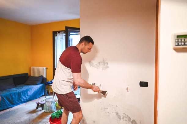 Best Mold Damage Repair  in Los Alamos, CA